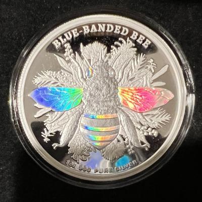 coinshop72