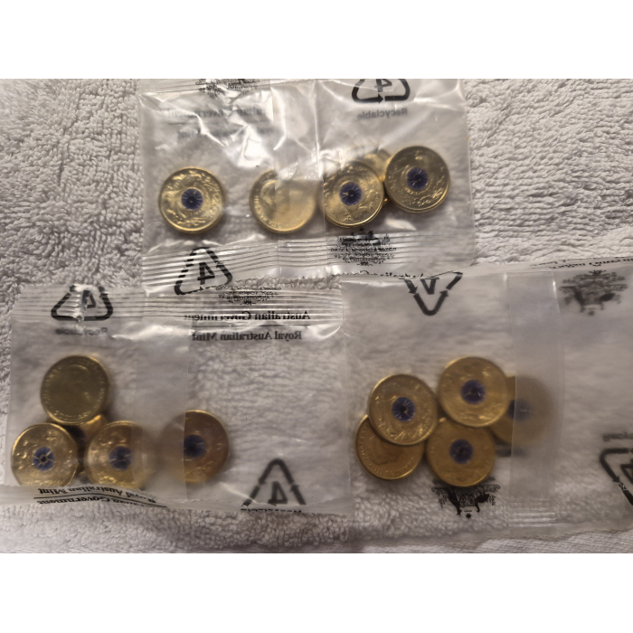 2024 War Animals Purple Poppy