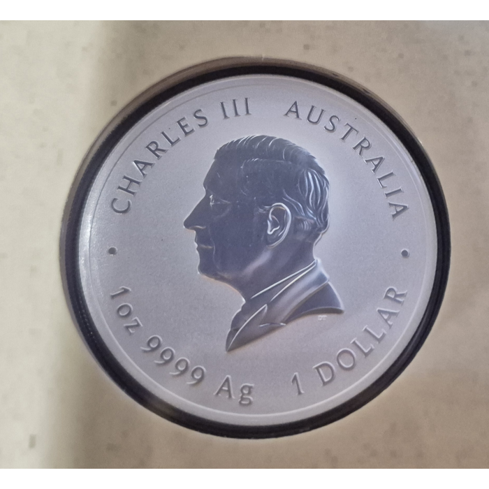 2026 Year of The Horse