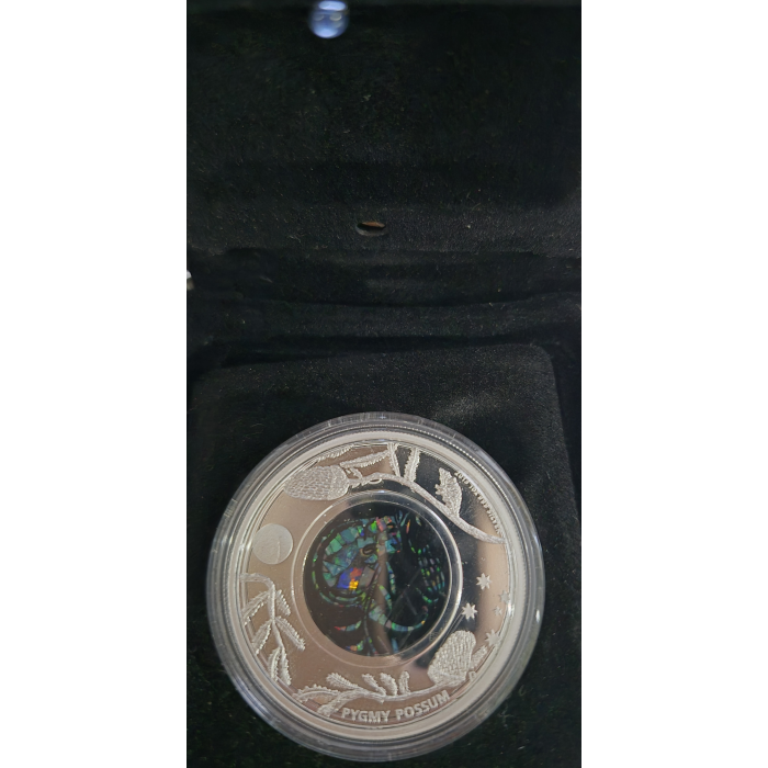 2013 Australian Opal Pygmy Possum