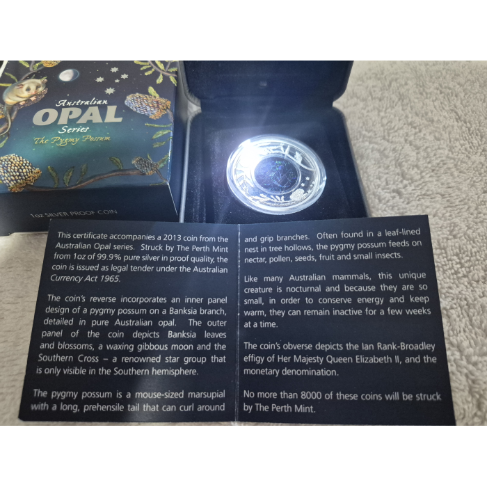 2013 Australian Opal Pygmy Possum