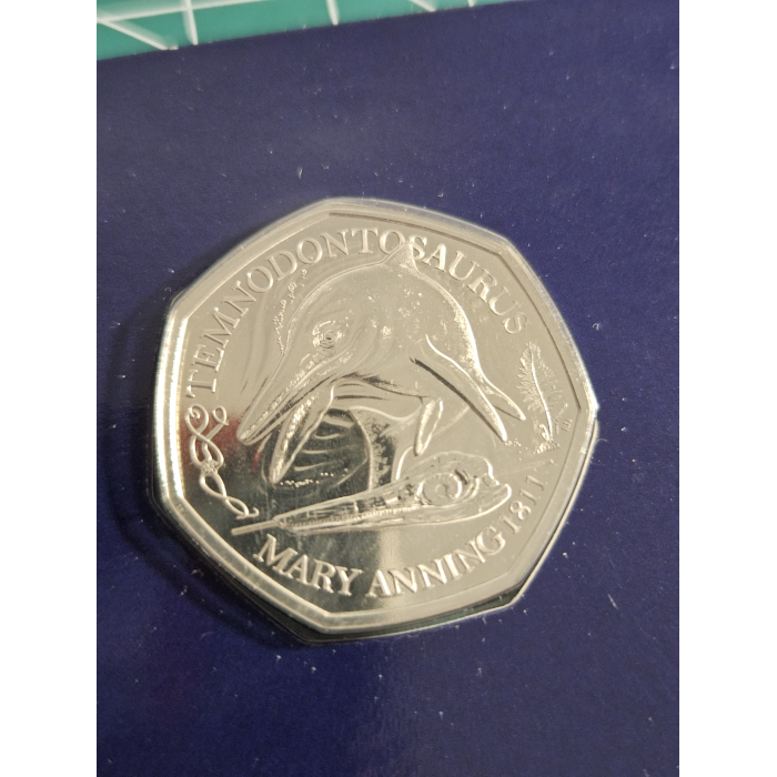 UK 50p Change checker