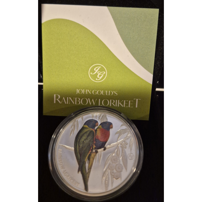 2024 Rainbow Lorikeet