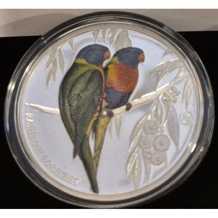 2024 Rainbow Lorikeet