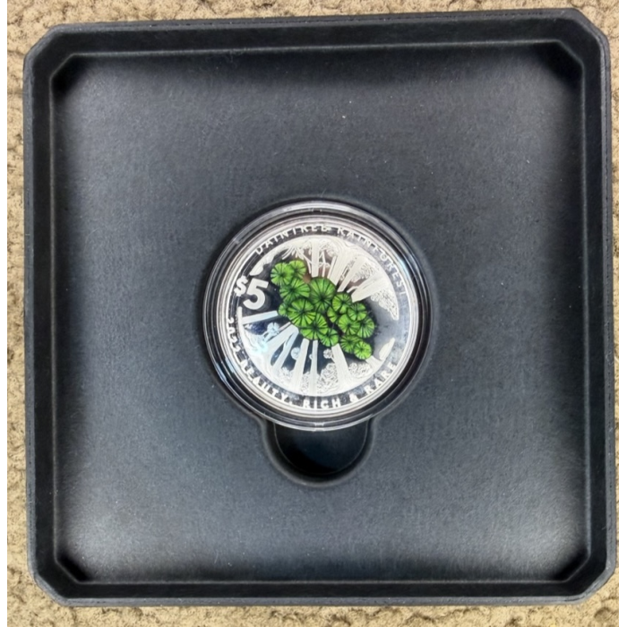 Beauty, Rich & Rare – Daintree Rainforest Silver Proof Coin – RAM