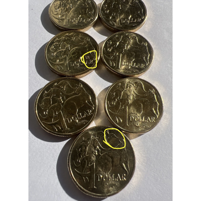 2020 through to 2026. Nine Mob of Roos $1 coins. King & Queen with circ & uncirc