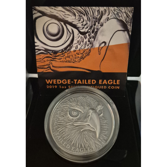 2019 Wedge-Tailed Eagle