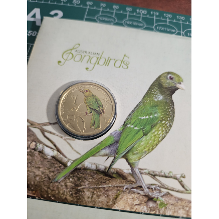 4 Australian birds pnc songbirds, kingfisher, pardalote, shelduck 