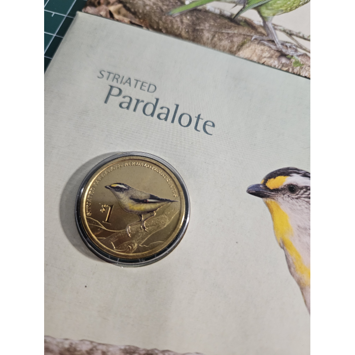 4 Australian birds pnc songbirds, kingfisher, pardalote, shelduck 