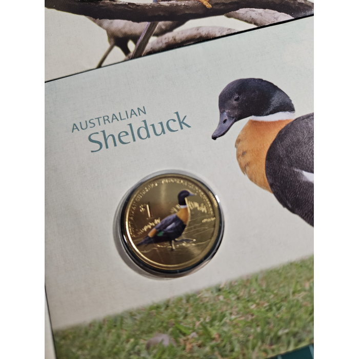 4 Australian birds pnc songbirds, kingfisher, pardalote, shelduck 