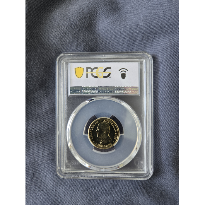 80th Anniversary of WW2 Poppy Wreath MS65