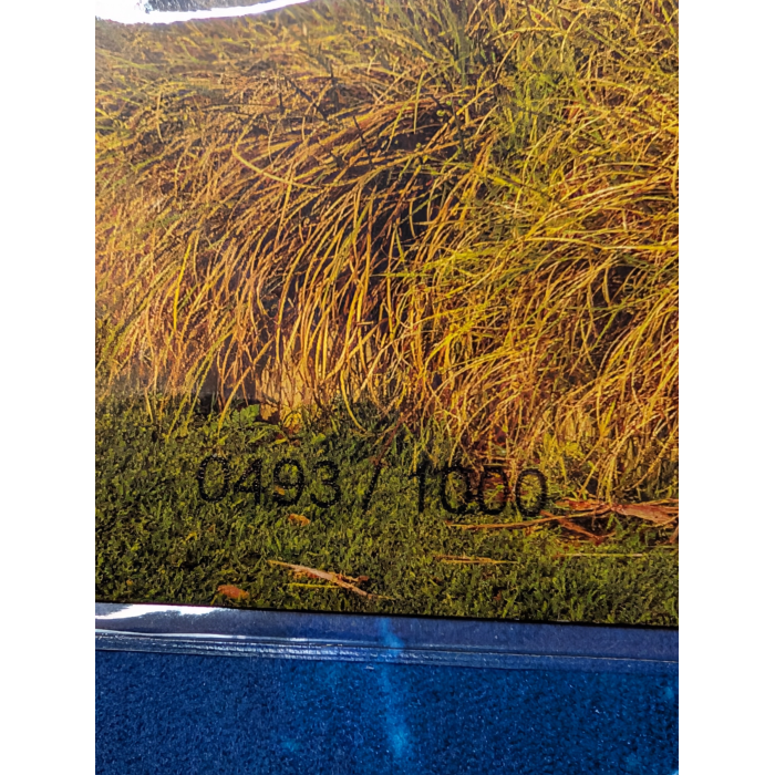 Australia 2023 &2025 impressions $1 Giant Murray Cod. Red Strawberry PNC 