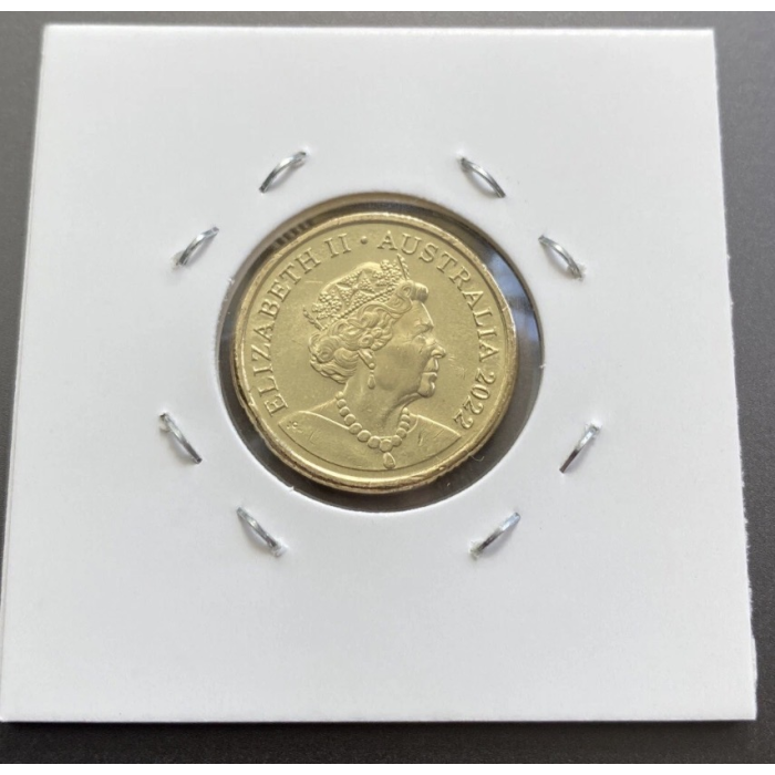 🐝 2023  $2 Honey Bee Downies Carded  Coin +1  UNC $2 Honey Bee in a 2x2 card 