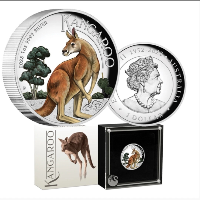 2023 $1 Australian Kangaroo 1oz Silver Proof High Relief Coloured Coin