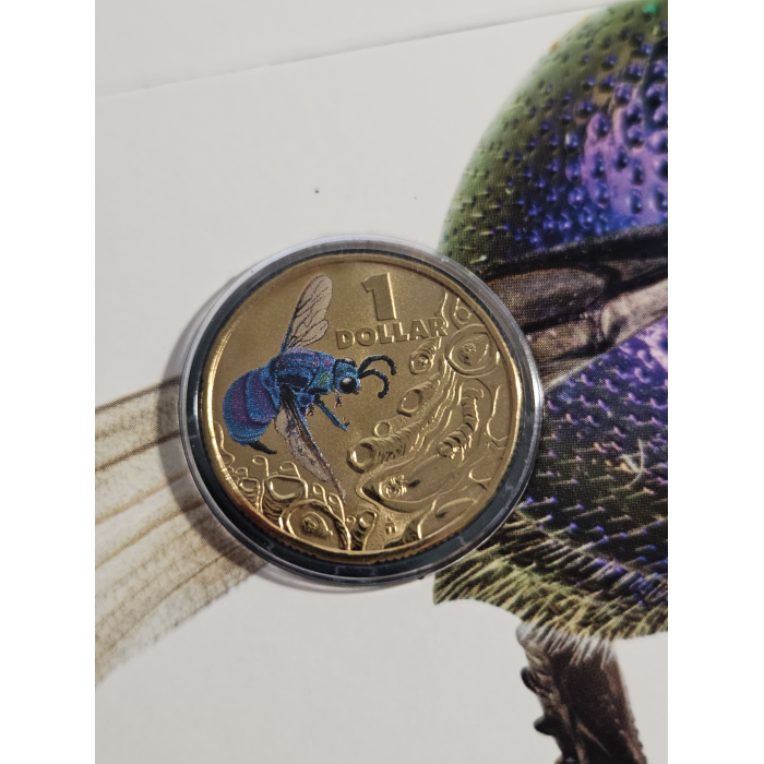 Bright Bugs 🐛 😱