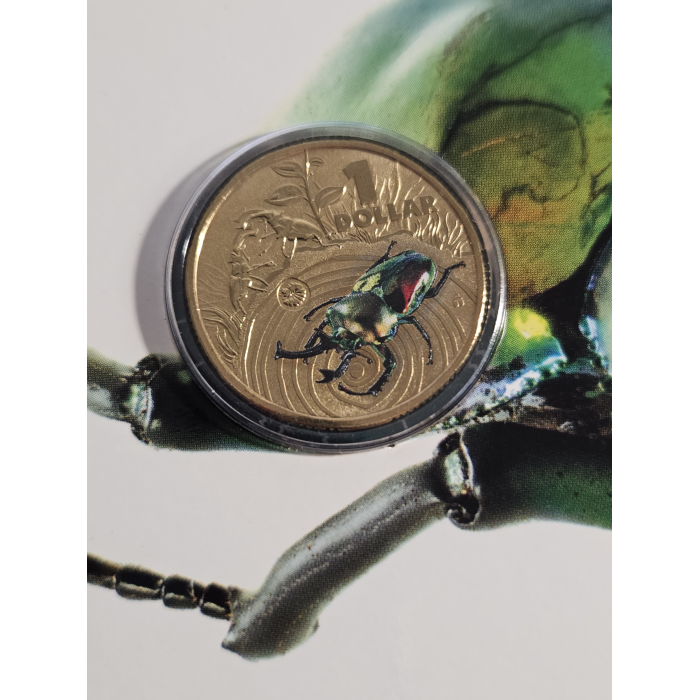 Bright Bugs 🐛 😱