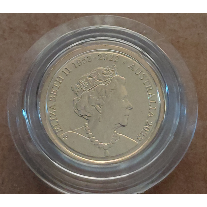 2023 Tooth fairy kit 