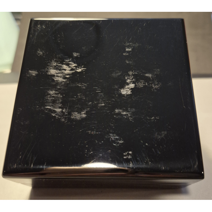 2019 Australia At Night Kangaroo 