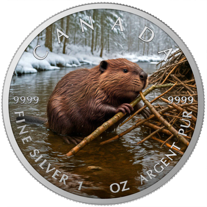 O&G - WINTER BEAVER 2025 CANADA MAPLE LEAF 1OZ SILVER COIN