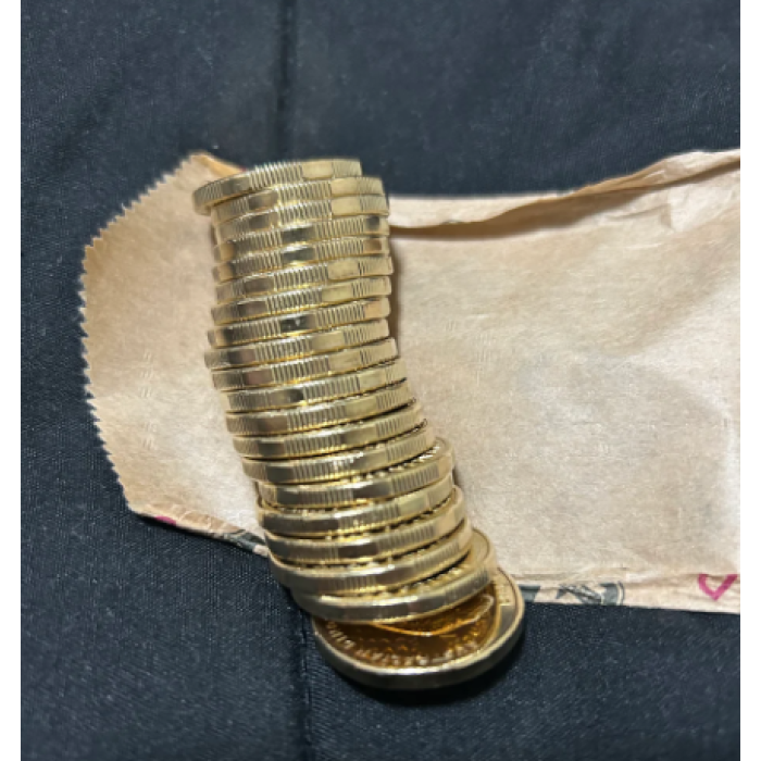 2022 Dinosaur Security Rolls