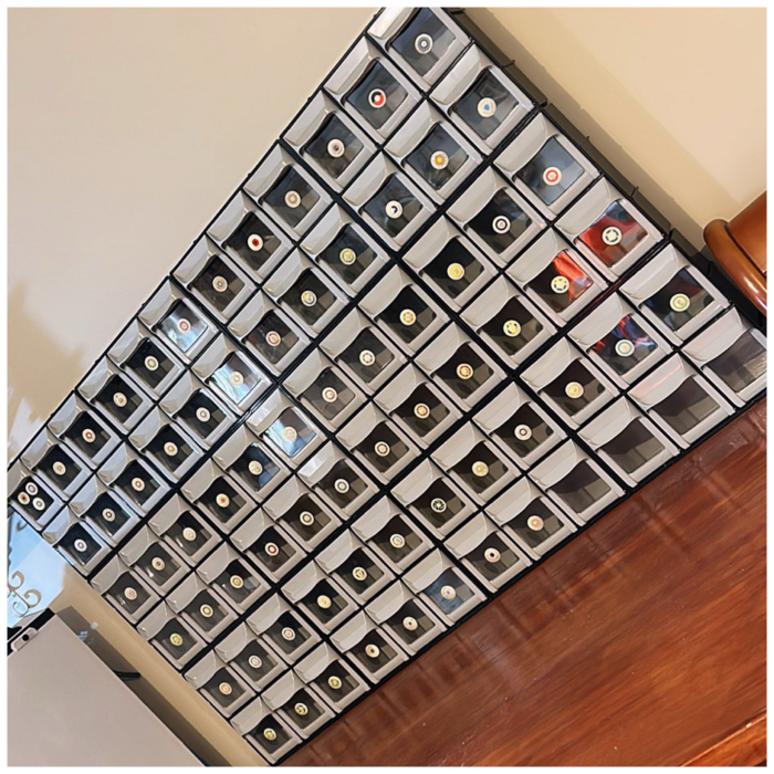 2$ Sticker Sheet - Includes All 74 Circulating Designs