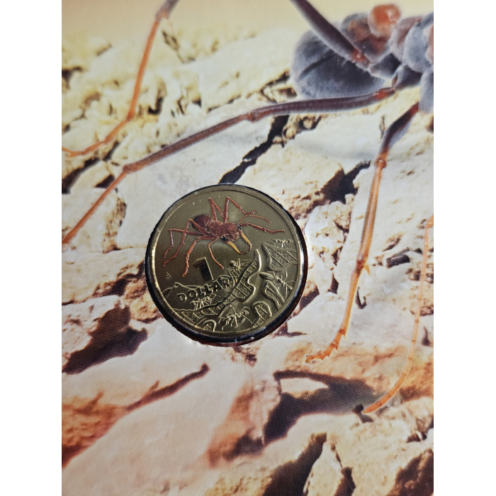 Things that sting pnc bull ant 