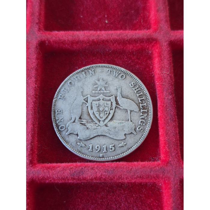 1915 H FLORIN KEY DATE!