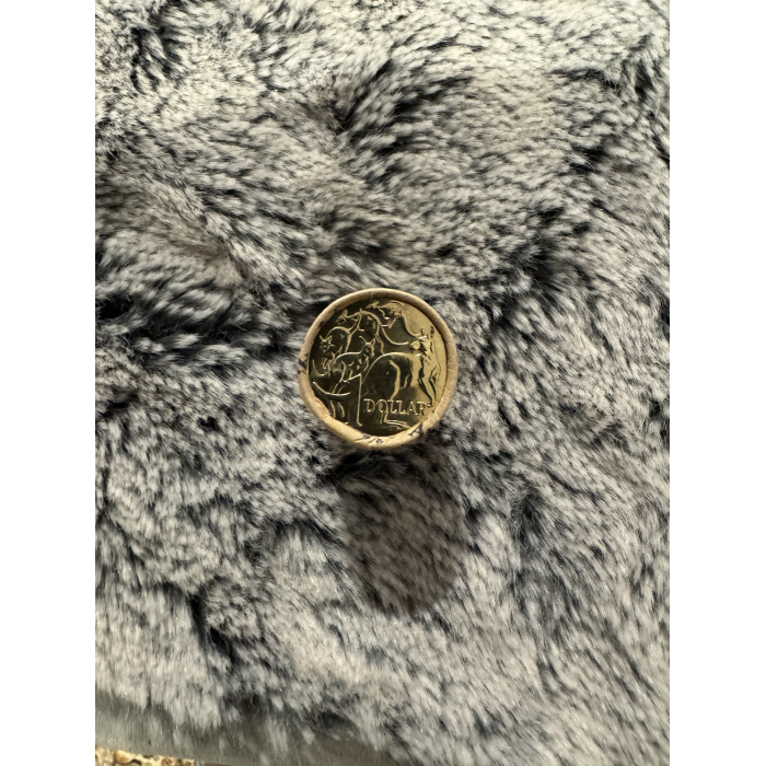 2023 RAM King Charles III $1 Coin Premium Roll