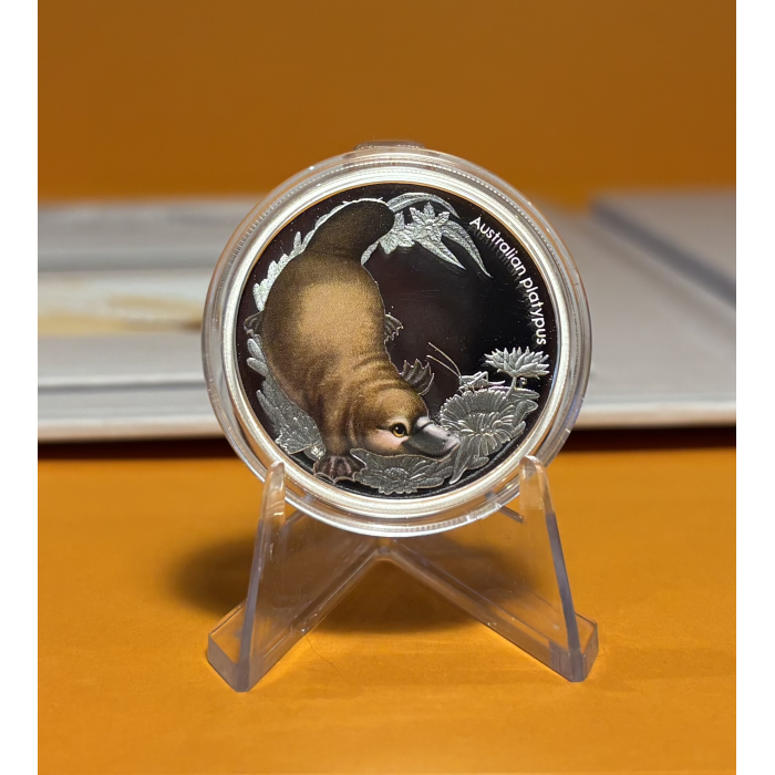 2013 BUSH BABIES PNC Folder #067/150