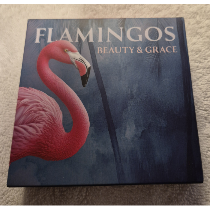 2025 Flamingos 