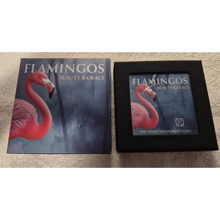 2025 Flamingos 