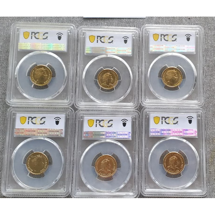 PCGS Slab Bundle