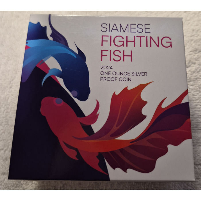 2024 Siamese Fighting Fish