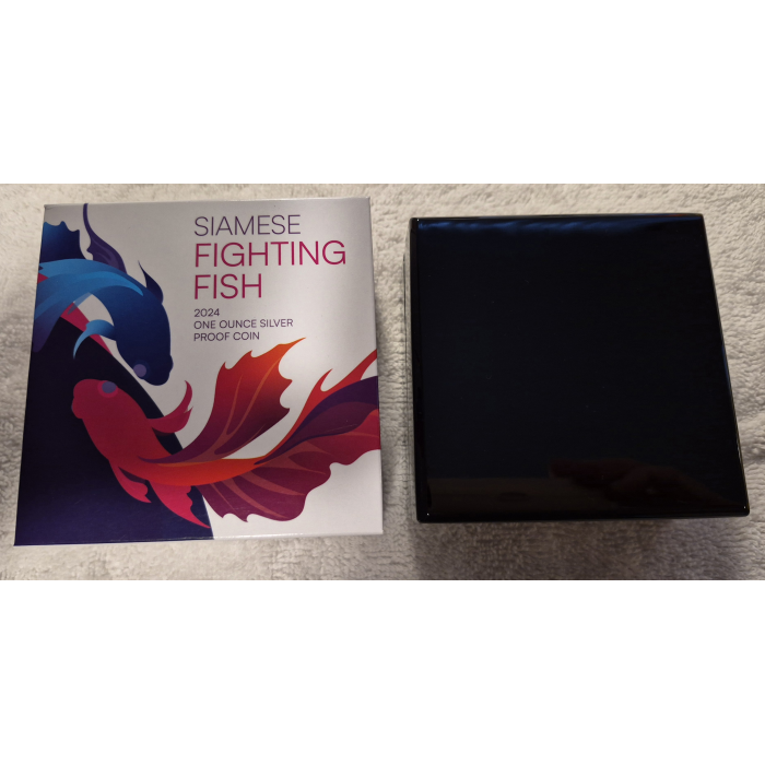 2024 Siamese Fighting Fish