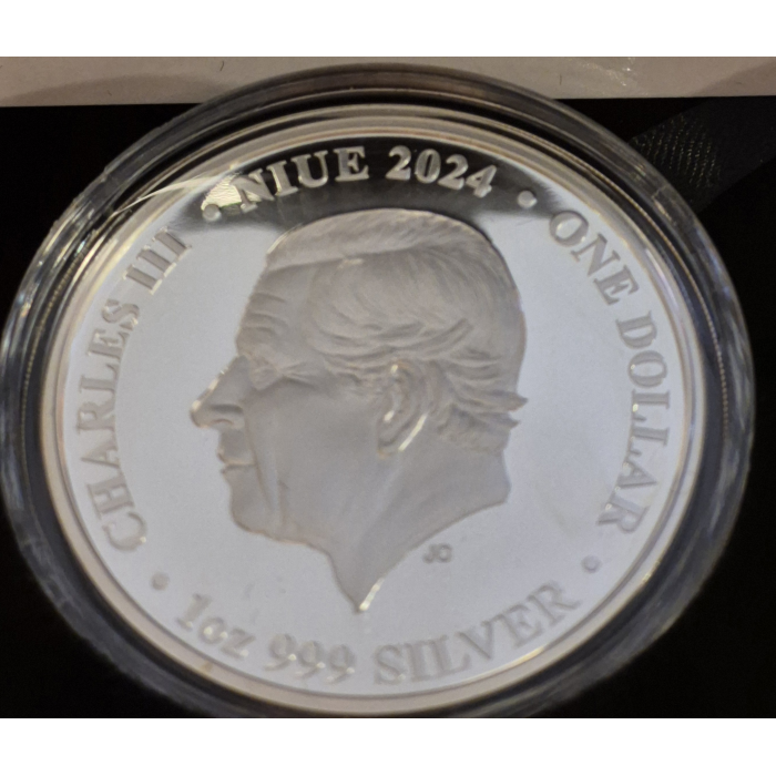 2024 Siamese Fighting Fish